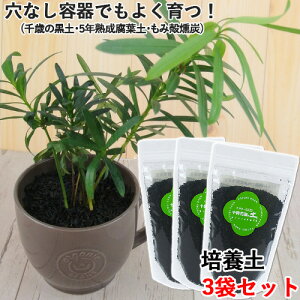 炭 容器 農業資材 ガーデニング用品の人気商品 通販 価格比較 価格 Com