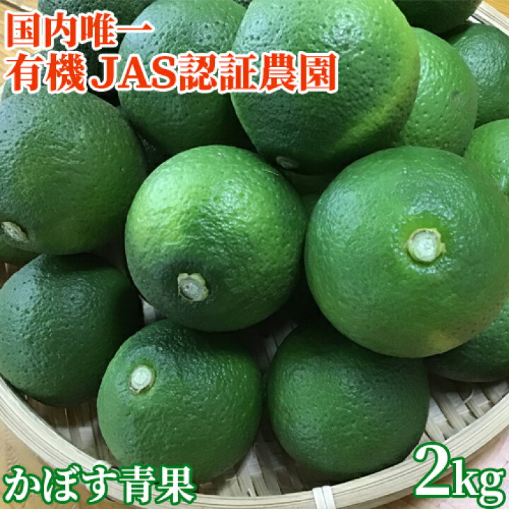 お中元 国内唯一の有機JAS認証栽培かぼす 無農薬大分県産カボス青果2kg(およそ20個前後) 季節限定 大分有機かぼす農園【送料込】 おんせん県おおいた online shop 自然栽培 カボス