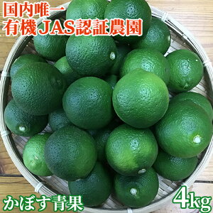 B̗L@JASF؍͔|ڂ 啪Y_J{X4kg(悻40O) nڂ Gߌ 啪L@ڂ_yz