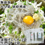 大分県 別府湾で獲れた しらす 食べ比べセット 800g(釜揚げしらす300g×2 生しらす100g×2) 国産 高橋水…