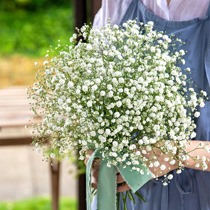 楽天市場 大分県玖珠産 かすみ草ラウンドブーケ 花束 生花 カスミソウ品種ベールスター ウェディング 結婚式用 御祝い用 フラワーギフト 冷蔵発送 Pomponchouchou 花と菓子と 送料込 おんせん県おおいた Online Shop