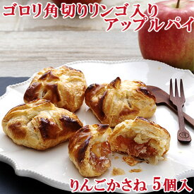 ゴロリ角切りりんご入りアップルパイ りんごかさね 5個入 BAKED APPLE PIE 菊家【送料込価格】