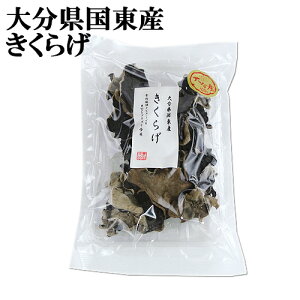 ^Y̊炰 炰 40g ő≮ 