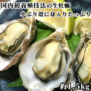 {̗p̗{B@Őg蔲Q y 1.5kg wK{ œK̑啪Y Vh tbvt@[VXȇICX^[yzHp