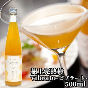 炲dẴlN^[^Cv̔~hN ㊮n~ vibratoru[g~hN 500ml SS̎RhhN ܖH[ yz