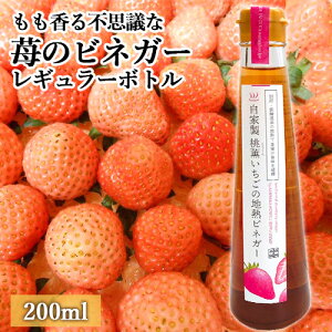R琶܂ꂽ̂ɂ₳ʎ| O̒nMrlK[M[{g 200mL RRibc̍肪svc [S֖{]
