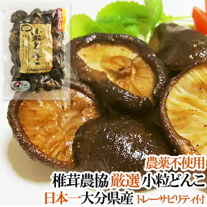 ő{̑啪Y NkM؍͔|VC^P ؂炸Ɏguǂ񂱁v130g 啪ő_ g[TreBt