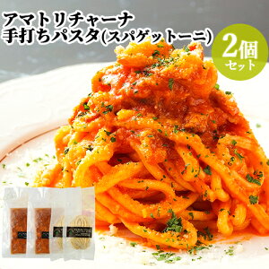 【2食分】生パスタの専門店のアマトリチャーナ(玉葱、燻製した豚肉、トマト) アマトリチャーナスパゲットーニ 約290g×2 ヴィアデッラキエーザ【送料込】