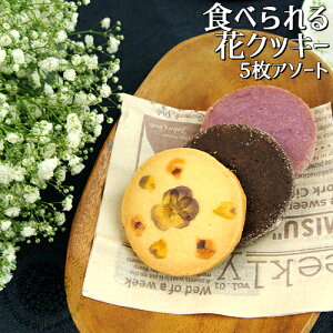 Hׂ邨ԃNbL[ 5A\[g(Hpԃv[/RRA&A[h/pE_[) Tu GfBut[ jp Mtg ۑsgp 퉷 PomponChouchou-ԂƉَq-y