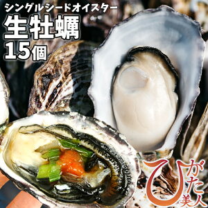  VOV[hICX^[ ktHpy Ђl 15(500g) ZɏȊÂƍ聃wK{12/1ȍ~\聄 啪ÎxXyz