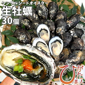  VOV[hICX^[ ktHpy Ђl 30(1kg) ZɏȊÂƍ聃wK{12/1ȍ~\聄啪ÎxXyz