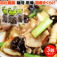 大分県玖珠産 乾燥きくらげ 15g×3個セット キュウエイファーム【送料込】