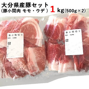 【クーポン併用で40%OFF】大分県産豚使用 豚小間肉 モモ・ウデ 500g×2P 西日本畜産 【送料込】 SAIKI