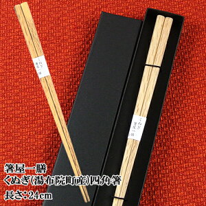 啪z@̂ʂgp V lp 24cm ʂ