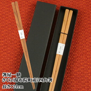 啪z@ɈĂgp V lp 24cm 