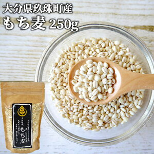 H@ۂLx 啪쒬Y  250g G ͂     zCgt@Co[ Z甞 唞-OJ Y BY LГ