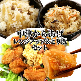 国産鶏肉100%使用 レンジアップ中津からあげ2種(醤油&かぼす塩) 各300g&綾鶏 大分とり飯の素(元祖・白)各3合用セット 熟成二段仕込みの本格から揚げがレンジで温めるだけ! 綾鶏 おかず お弁当 お惣菜 冷凍便 産地直送 NorthSouth【送料込】