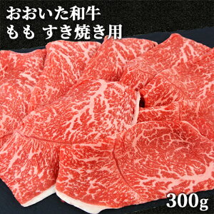 a{̑啪Y a  Ăp 300g јa 4`5 Jbg Ⓚ ~JhXyz