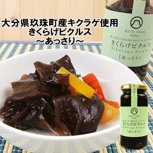 �啪����쒬�Y�L�N���Q�g�p �����炰�s�N���X�y��������z80g �ォ��ق�̂�s���b�ƃA�N�Z���g�����鏤�i �L���E�G�C�t�@�[��