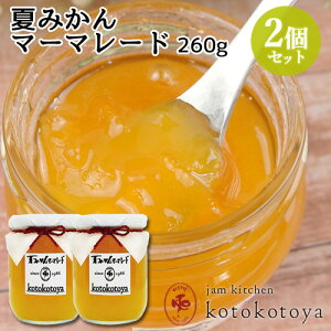 z@ŒNĂW 啪Y Ă݂}[}[h 260g×2Zbg َq₨̉B Jam kitchen kotokotoyayz