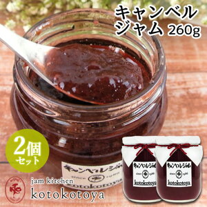 z@ŒNĂW 啪Y LxW 260g×2Zbg Ԃǂ Ɛ Jam kitchen kotokotoyayz
