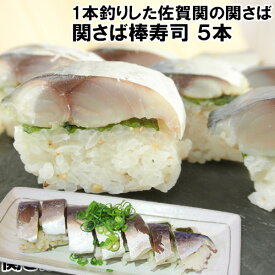 1本釣りした関さば 関さば棒寿司 5本 佐賀関漁港から直送 富士見水産【送料込】