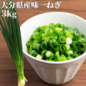 シャキッと食感 大分県を代表するブランド野菜「大分味一ねぎ」3kg(100g×30袋) 小ねぎ 業務用 九州産 産地直送 冷蔵便 JAおおいた＜指定日必須＞【送料込】 OIKI