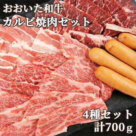 和牛日本一の大分県産 おおいた和牛 カルビ焼肉セットA (バラカルビ300g・マクミ200g・豚バラ100g・ウインナー100g) 黒毛和牛 4～5等級 ミカド肉店【送料込】