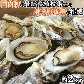 国内初の養殖技術で身入り充実 冷凍牡蠣 タップリ 約2kg 漁場豊潤な大分県大入島産 新栄丸 大入島オイスター OONYUJIMA OYSTER 【送料込】生食用