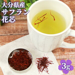 啪|cY TtԐc 3g YXpCX TtCX pGA V ԍH[񑐁yz