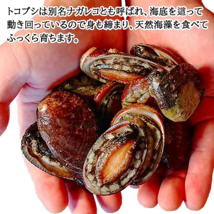 楽天市場 クーポン利用で Off 大分県産 とこぶしのやわらか煮 大 1パック 0g入り アワビによく似た貝 ながれこ 煮貝 おつまみ 酒の肴 贅沢な逸品 常温 かまえインターパーク海べの市 送料込 Sayu おんせん県おおいた Online Shop