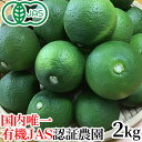 【大分県公式ショップ】無農薬栽培かぼす 国内唯一の有機JAS認証栽培 大分県産カボス青果 2kg (約20個前後) 大分有機…