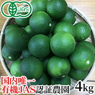 【大分県公式ショップ】無農薬栽培かぼす 国内唯一の有機JAS認証栽培 大分県産カボス青果 4kg (約20個前…