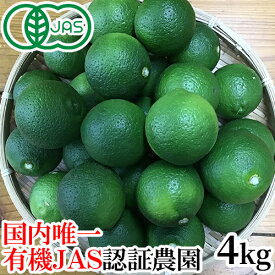 【大分県公式ショップ】無農薬栽培かぼす 国内唯一の有機JAS認証栽培 大分県産カボス青果 4kg (約20個前後) 大分有機かぼす農園 採れたて産地直送【送料込】