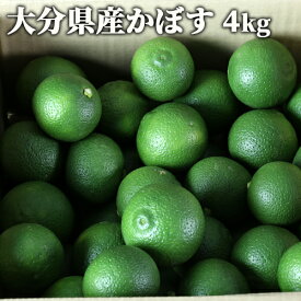果汁たっぷり！大分県杵築市産 生かぼす 青果 4kg 季節限定 自社農園産 カボス 10月以降かぼすは熟して黄色味を帯びます オレンジ農園【送料込】