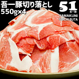 大分県中津市産 たっぷりボリューム満点「吾一豚」切り落とし 550g×4パック(合計2.2kg) モモ カタ ウデ 部位ミックス 切落し スライス肉 小間切れ 産地直送 お取り寄せ 冷凍便 梶原畜産【送料込】