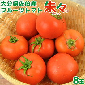 大分県佐伯産 高糖度 塩熟 フルーツトマト朱々 8玉(約1kg) LLサイズ 糖度8度以上 JGAP認証農場 ハウス 低段密植栽培 サニープレイスファーム【送料込】