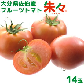 大分県佐伯産 高糖度 塩熟 フルーツトマト朱々 14玉(約1kg) 糖度8度以上 JGAP認証農場 ハウス 低段密植栽培 サニープレイスファーム【送料込】