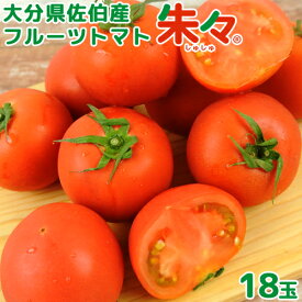 大分県佐伯産 高糖度 塩熟 フルーツトマト朱々 18玉(約1kg) 糖度8度以上 JGAP認証農場 ハウス 低段密植栽培 サニープレイスファーム【送料込】