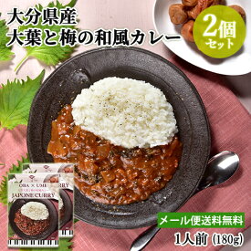 大分県産素材使用 大分大葉と梅の和風カレー 1人前(180g)×お試し2個セット レトルト 野菜カレー レストランの本格的な味 アダージョ Adagio【メール便送料無料】