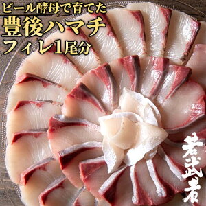 大分県佐伯市産 ビール酵母で育てた豊後ハマチ「若武者」フィレ 1尾分(頭・アラ・カマ付き) 生食用 お刺身 しゃぶしゃぶ 寿司 照り焼き 養殖 活け締め 冷蔵便 真空パック 浪井丸天水産<日