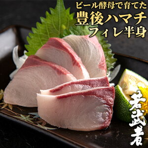 大分県佐伯市産 新鮮獲れたてのハマチをお届け! ビール酵母で育てた豊後ハマチ「若武者」フィレ 半身分 生食用 お刺身 しゃぶしゃぶ 寿司 照り焼き 養殖 活け締め 冷蔵便 真空パック 浪井