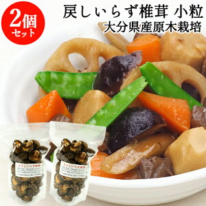 啪sY ǂ炸 ؍͔|  100g×2Zbg V ԂȒő r^~D 퉷 Y {̑啪 ̒őyz