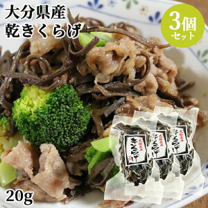 啪Y 炰 20g×3Zbg ؎ Y Ŗ߂ŗɎg 啪yz