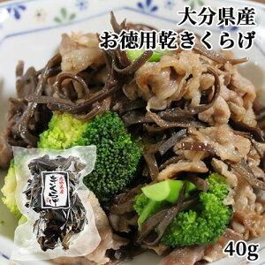 啪Y 炰 p 40g ؎ Y Ŗ߂ŗɎg 啪