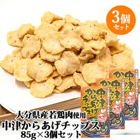 大分県産若とり使用 中津からあげチップス 85g×3個セット 油菓子 若鶏 唐揚げ カラアゲ 菓子 スナック おやつ 宝コンフェクト【送料込】