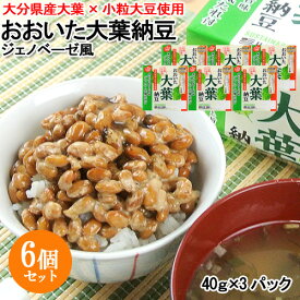 おおいた大葉納豆ジェノベーゼ風(40g×3) 6個セット 大分産大葉 小粒大豆使用 環境に優しいサステナブルな生産方法 二豊フーズ【送料込】 OIKI