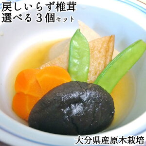 啪sY ǂ炸 ؍͔| Iׂ3Zbg 100g×ꂩ3(or) V ő r^~D 퉷 Y ̒őyz