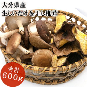 ő{̑啪Y z@܂ꂨyZbg 500gő100g(ڂӞt) _͔| Rẑyz