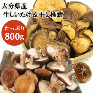 ő{̑啪Y z@܂~΂Zbg 500gő300g (ڂӞt) _͔| Y Rẑyz